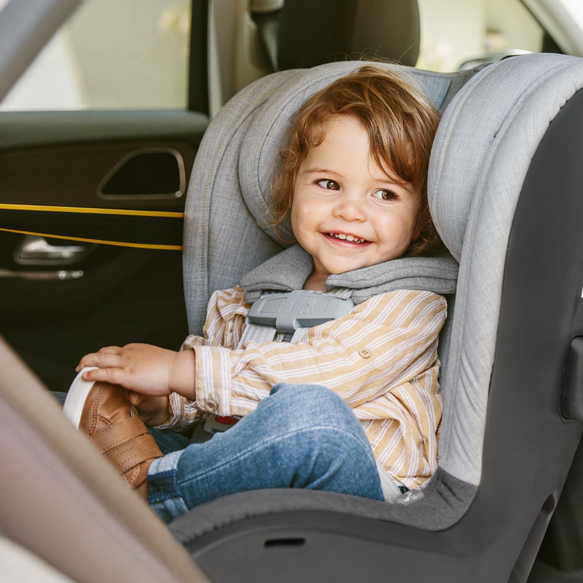 UPPAbaby Knox Convertible Car Seats