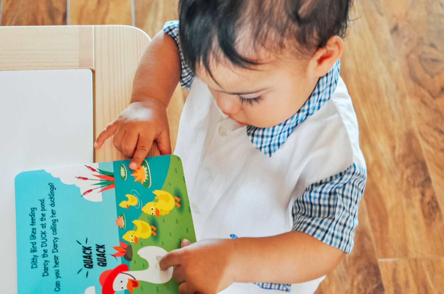 Ditty Bird Musical Books - Farm Animal Sounds