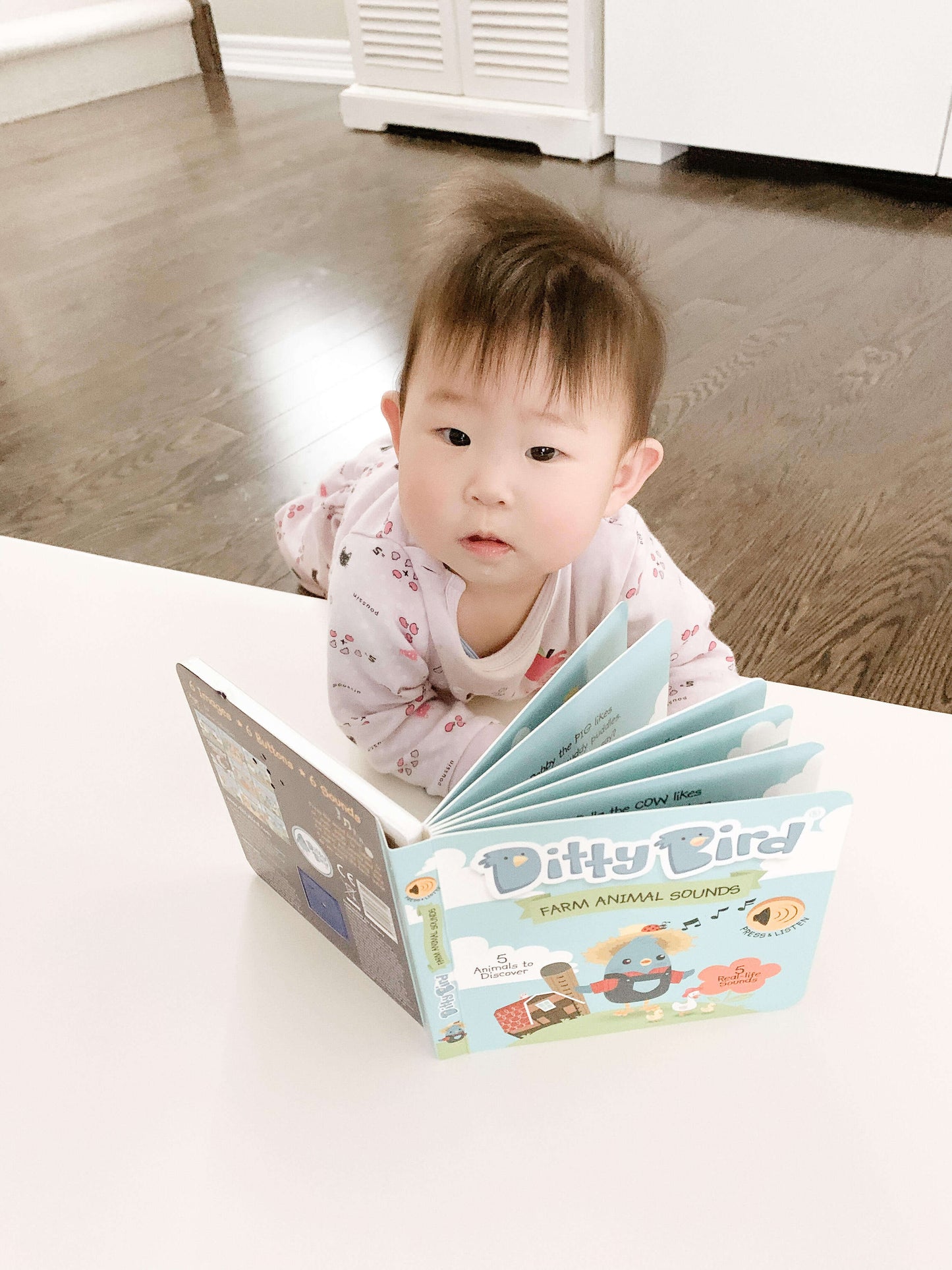 Ditty Bird Musical Books - Farm Animal Sounds