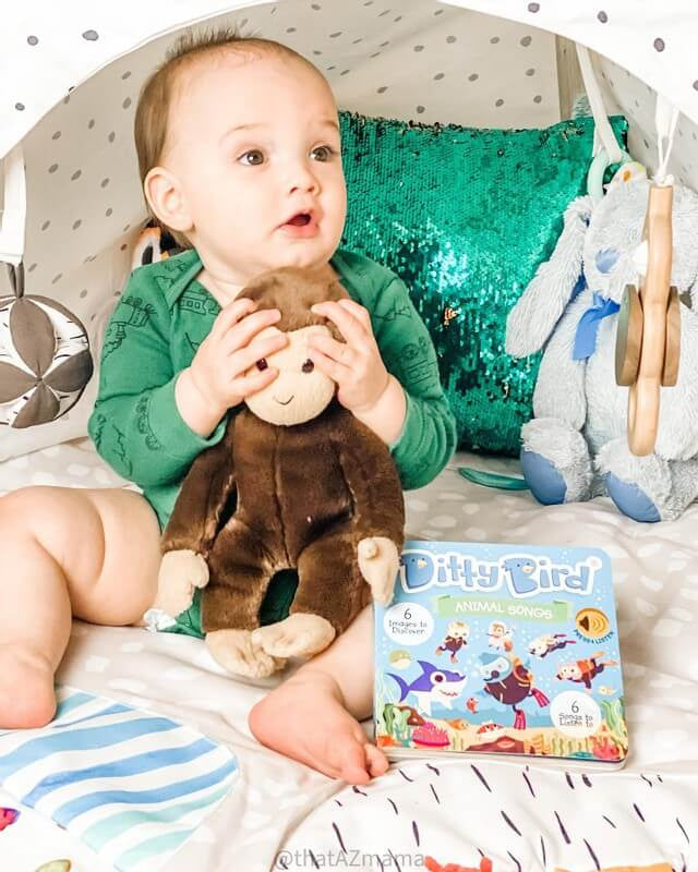 Ditty Bird Musical Books - Animal Songs