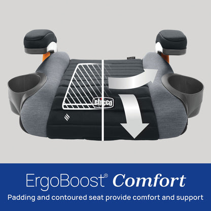Chicco GoFit ClearTex Backless Booster Car Seat - Orchid - 08087092200070