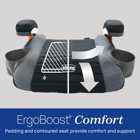 Chicco GoFit ClearTex Backless Booster Car Seat - Orchid - 08087092200070