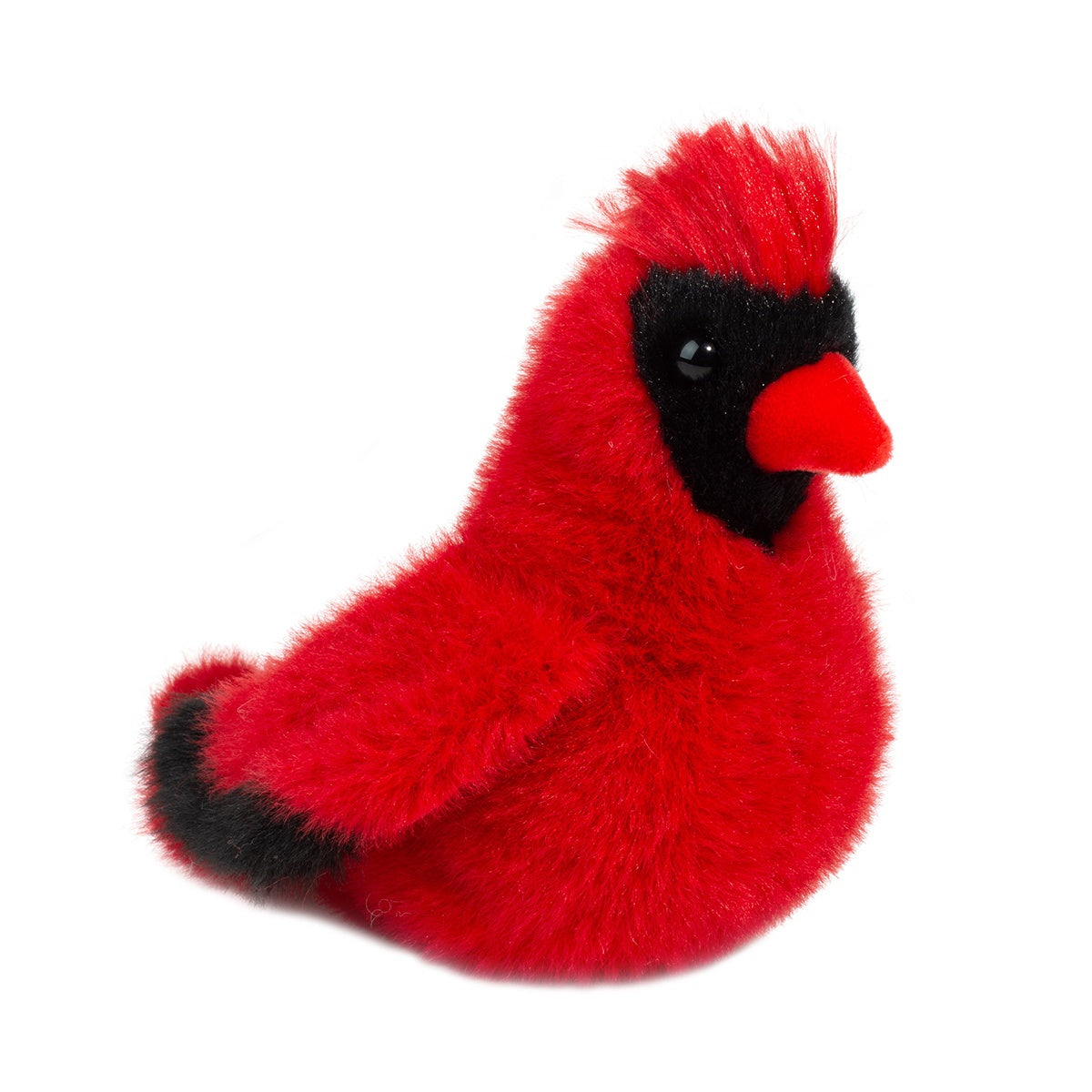 Douglas Carmine Cardinal