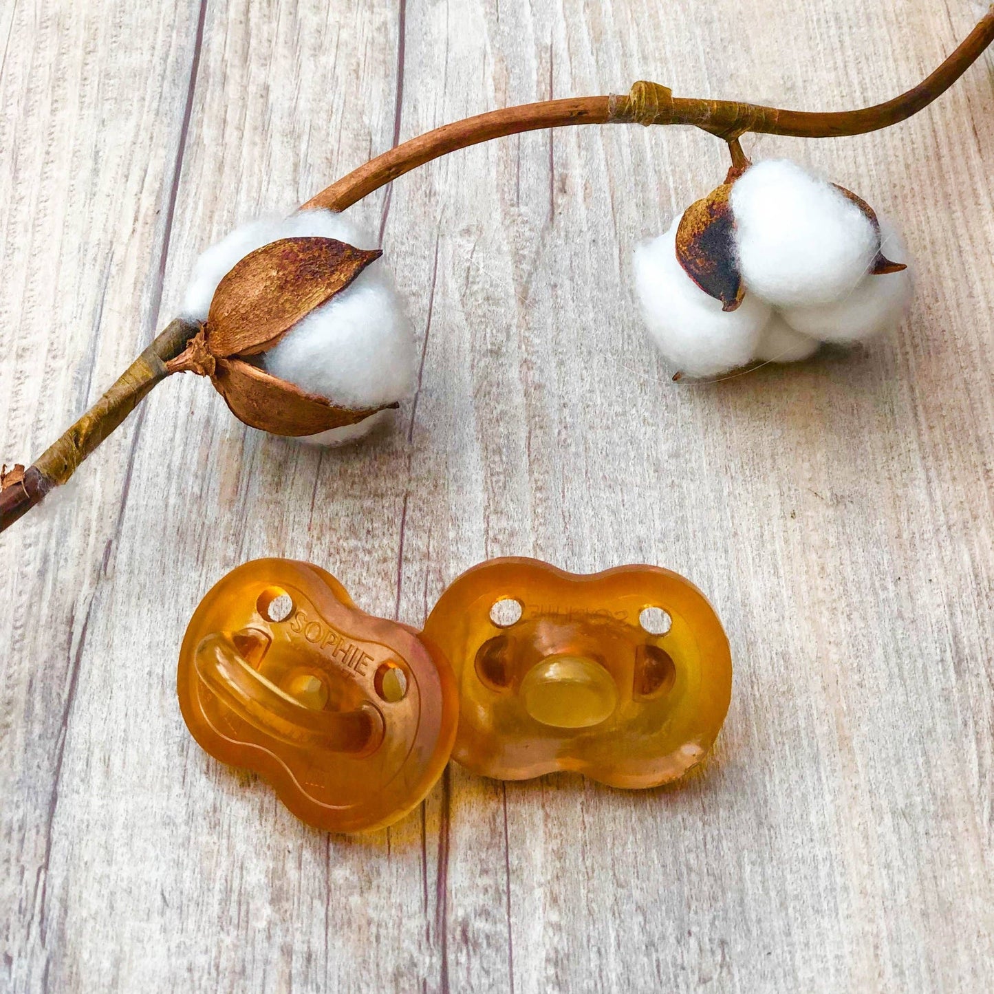 Sophie la Girafe So'pure Natural Rubber Pacifier - 6-18 Months
