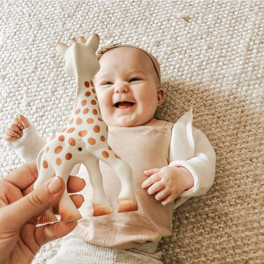 Sophie la Girafe So'pure Natural Rubber Pacifier - 6-18 Months