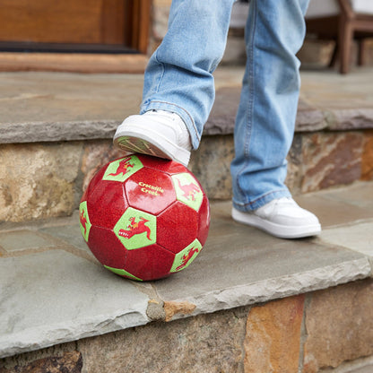 Crocodile Creek Size 3 Glitter Soccer Ball - Dinosaur