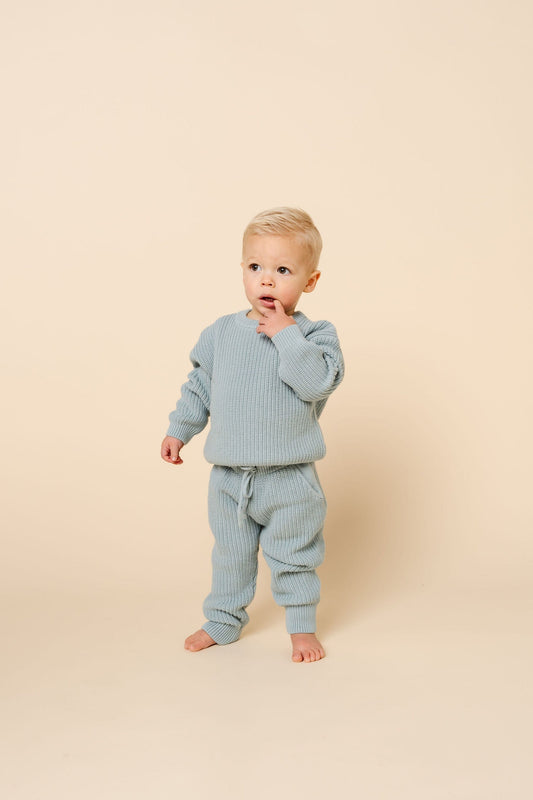 Lou Lou & Company Knit Jogger Pant - Steele, 3-6 Month