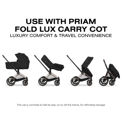 Cybex e-Priam Stroller (2026) - Matte Black Frame / Sepia Black Lux Seat - 526000063