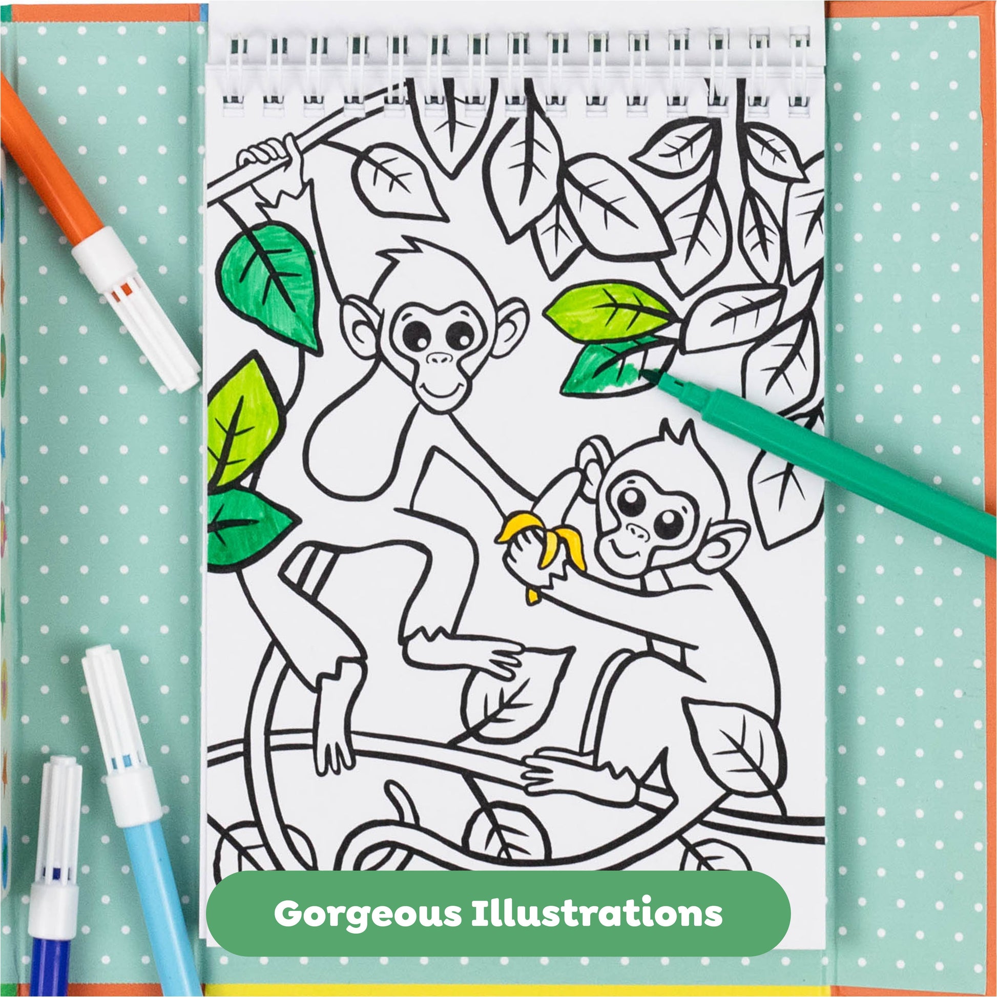 Tiger Tribe Coloring Set - Zoo - Image 5
