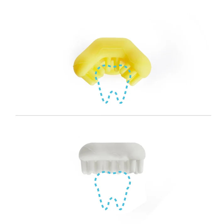 FridaBaby Training Toothbrush for Babies