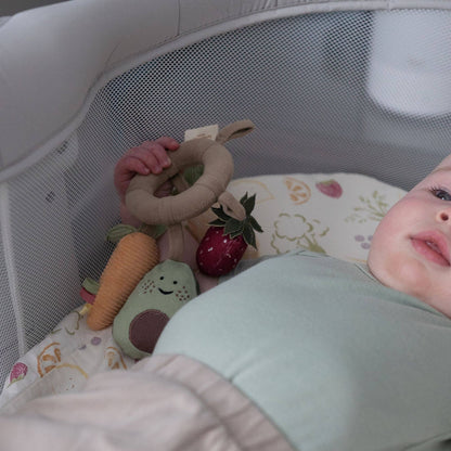 Crane Baby Clementine Fruits & Veggies Soft Plush Activity Ring - Image 3