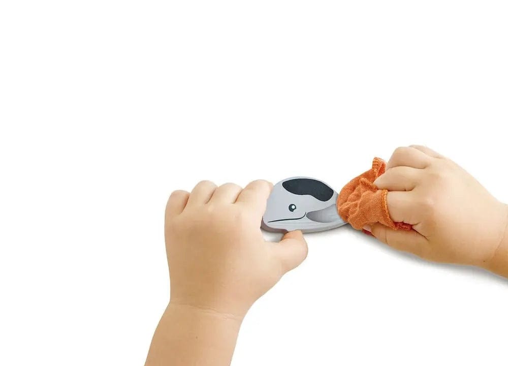 Hape Ben's Eco Catamaran