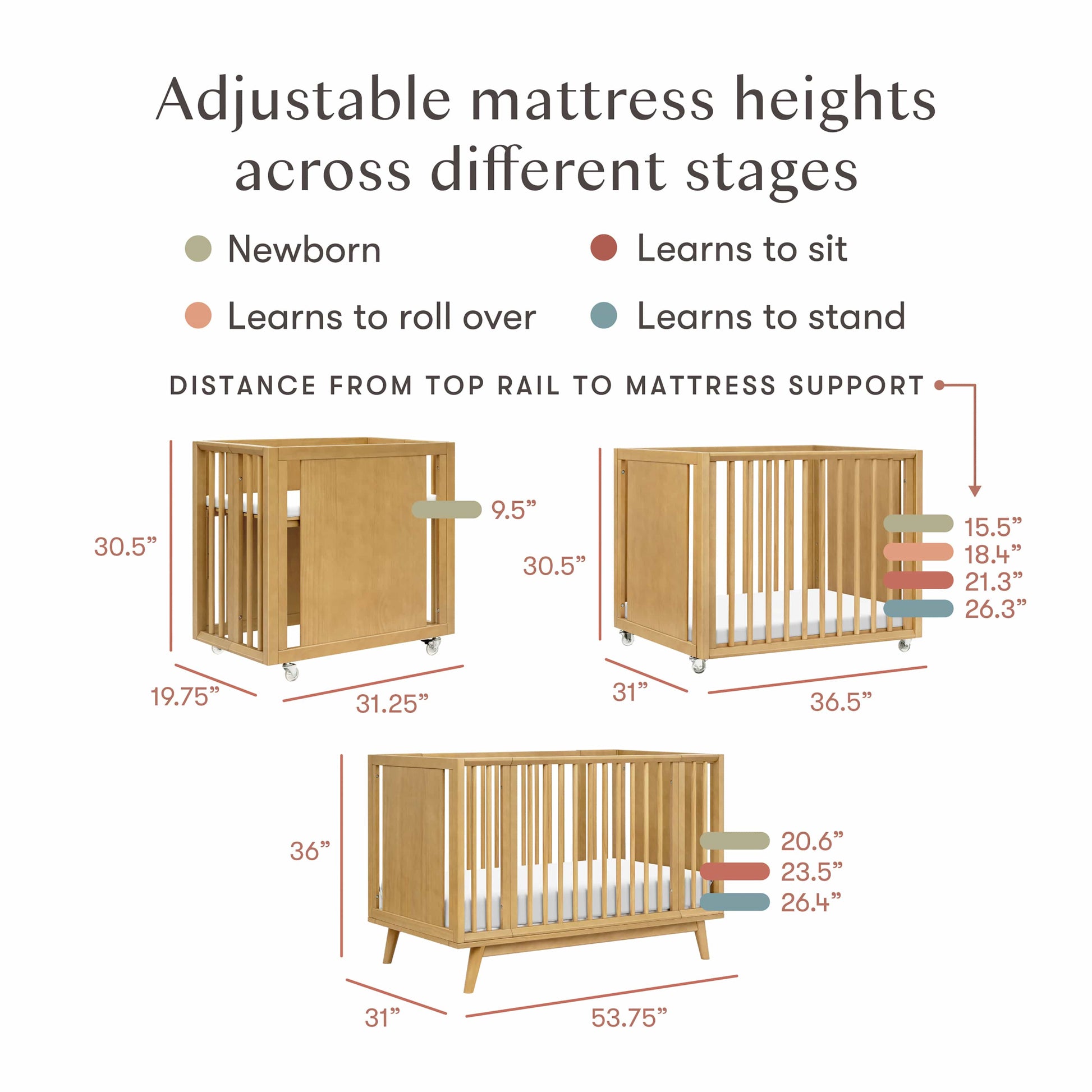 Babyletto Palma 8-in-1 Convertible All-Stages® Crib with Bassinet & Toddler Bed Kits - Honey