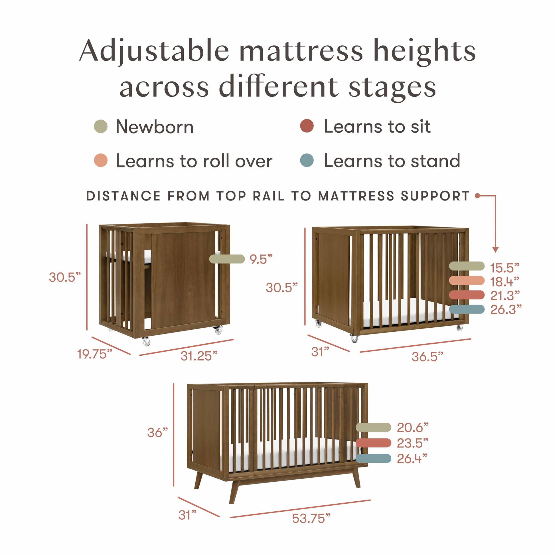 Babyletto Palma 8-in-1 Convertible All-Stages® Crib with Bassinet & Toddler Bed Kits - Natural Walnut