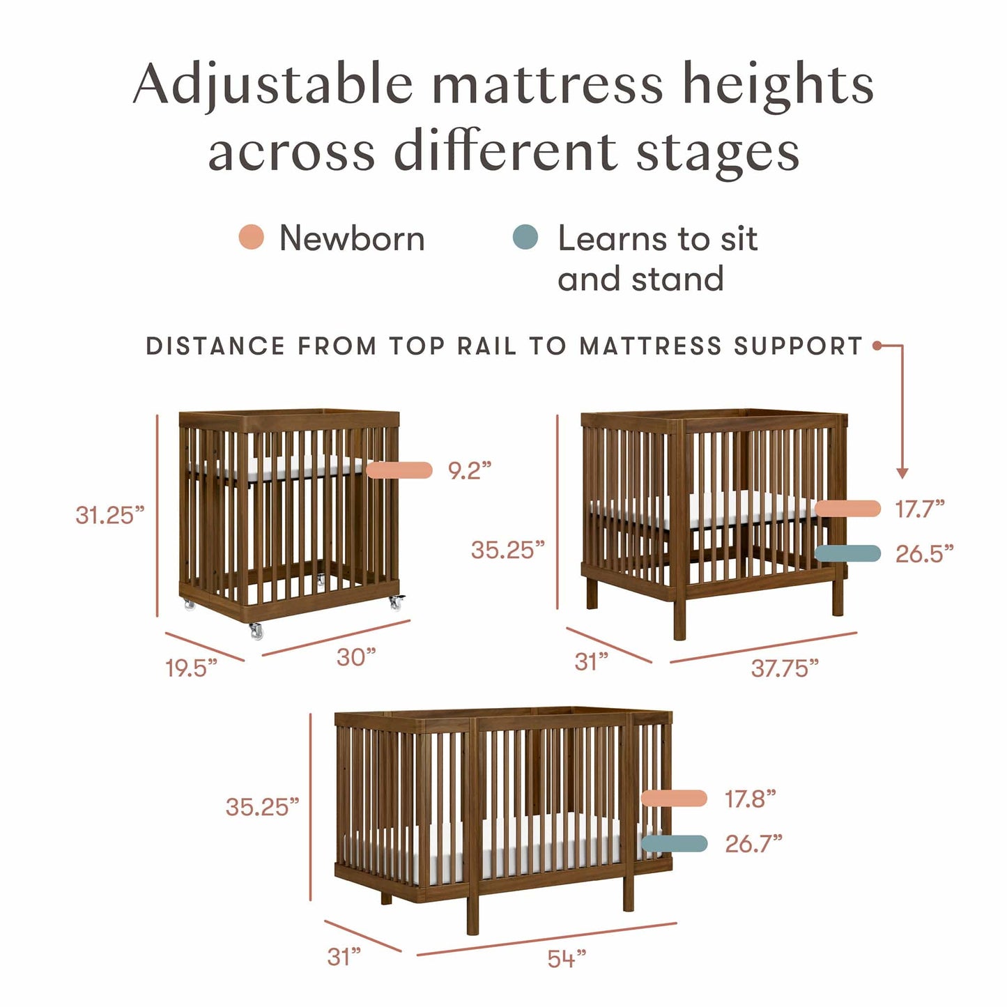 Babyletto Pogo 8-in-1 Convertible Crib w/All-Stages Conversion Kits - Natural Walnut - M29880NL
