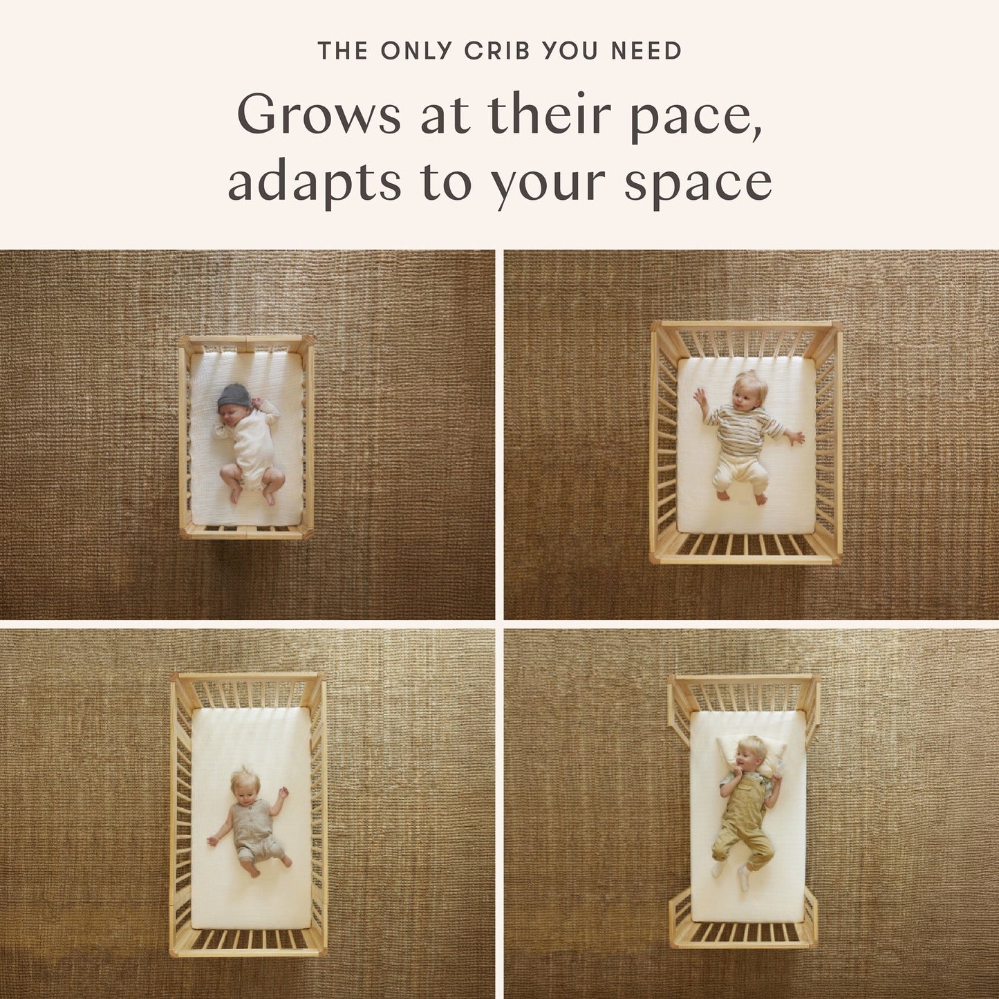 Babyletto Pogo 8-in-1 Convertible Crib w/All-Stages Conversion Kits - Natural Walnut - M29880NL