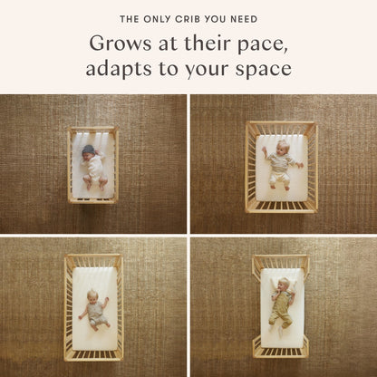 Babyletto Pogo 8-in-1 Convertible Crib w/All-Stages Conversion Kits - Natural Walnut - M29880NL