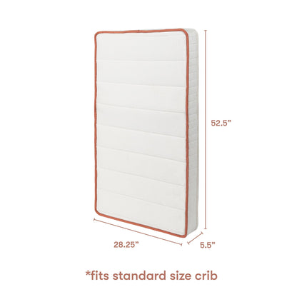 Babyletto x Avocado Dual-stage, Organic & Non-Toxic Crib Mattress