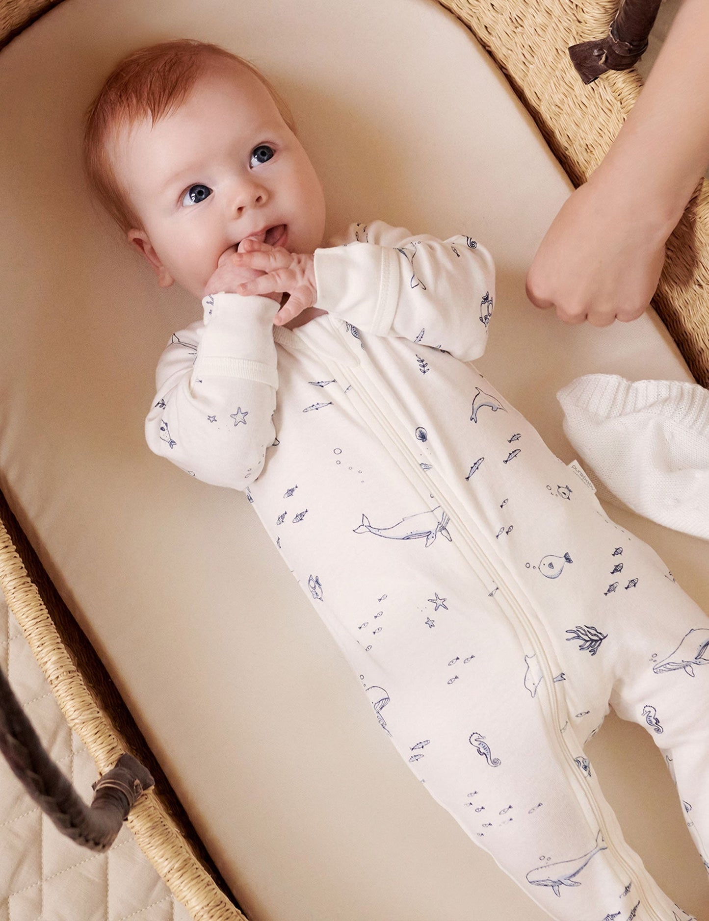 Purebaby 2 Pack Zip Growsuit - Vanilla Nautical, NB - Image 2