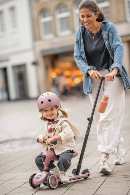 Scoot & Ride Highwaykick 1 Push & Go Scooter - Ash