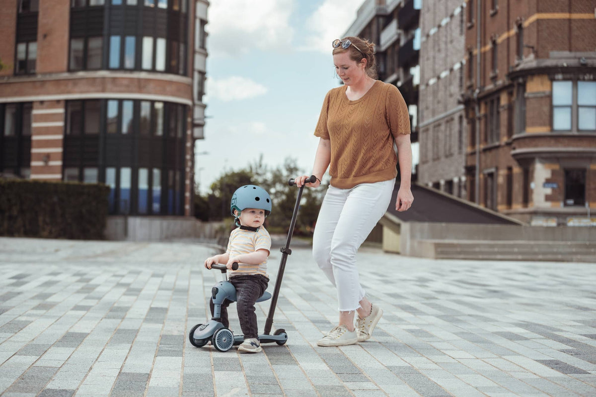 Scoot & Ride Highwaykick 1 Push & Go Scooter - Steel