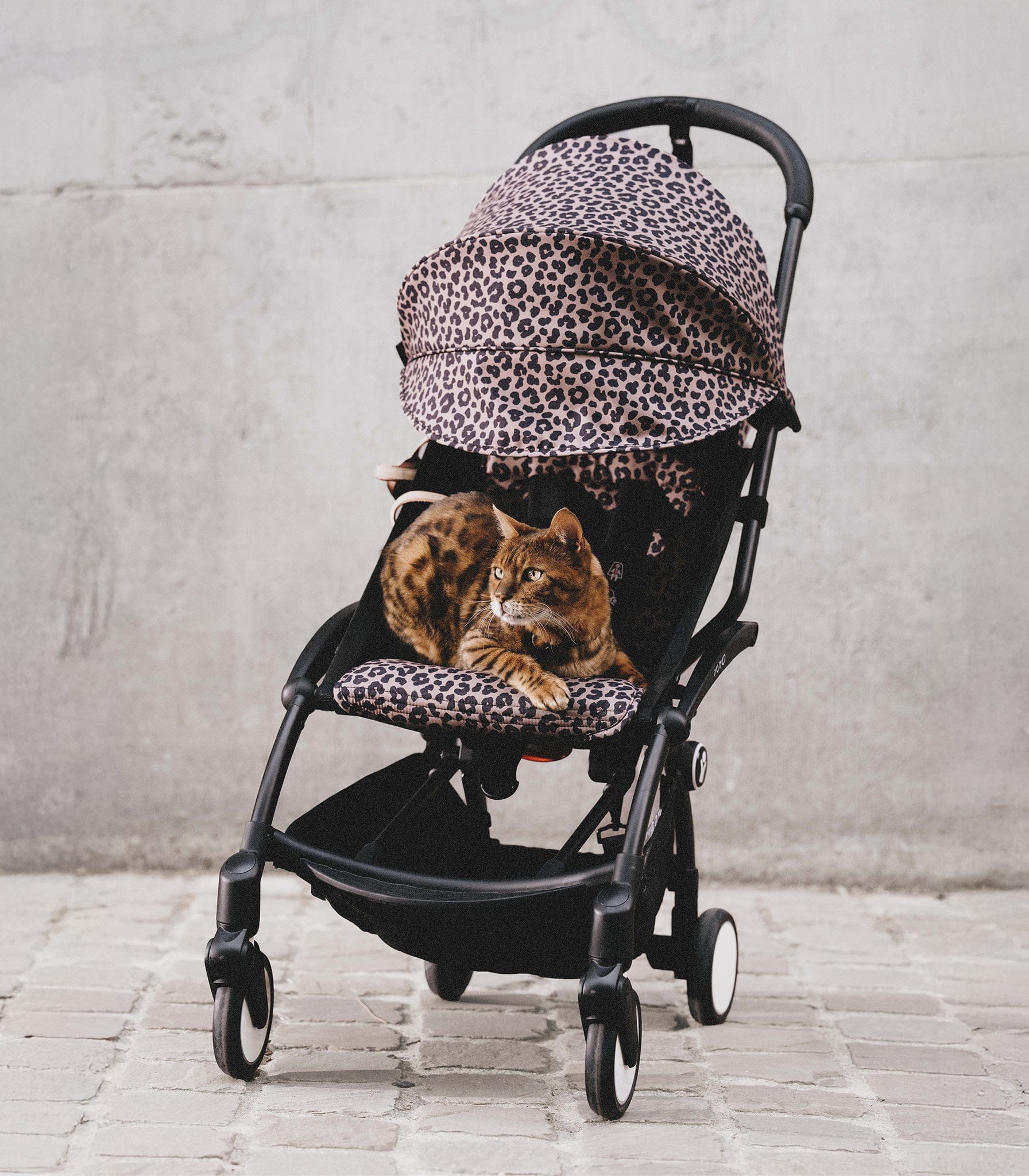 Stokke YOYO3 Ultra Compact 6+ Stroller (One Box) - Black / Leopard (Wild Collection) - 654300