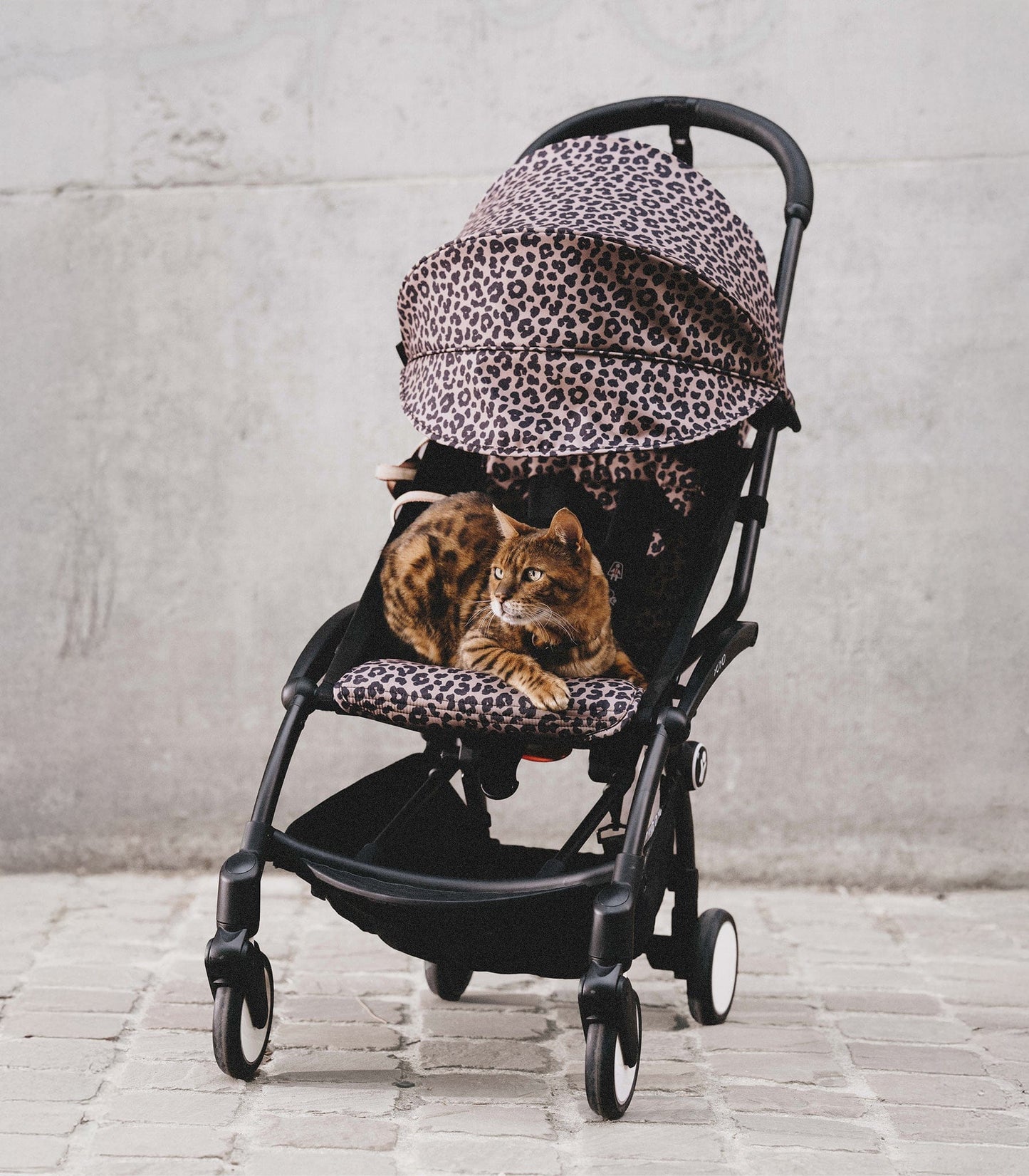 Stokke YOYO 6+ Color Pack - Leopard (Wild Collection) - 648113