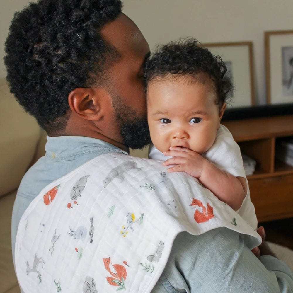 Aden + Anais Burpy Bibs, 2 Pack - Naturally - ABBC20010