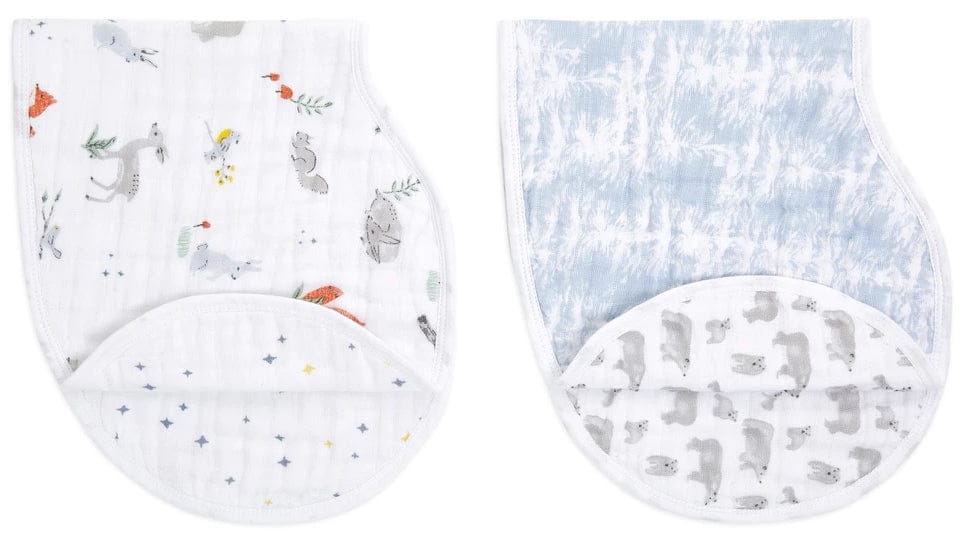 Aden + Anais Burpy Bibs, 2 Pack - Naturally - ABBC20010