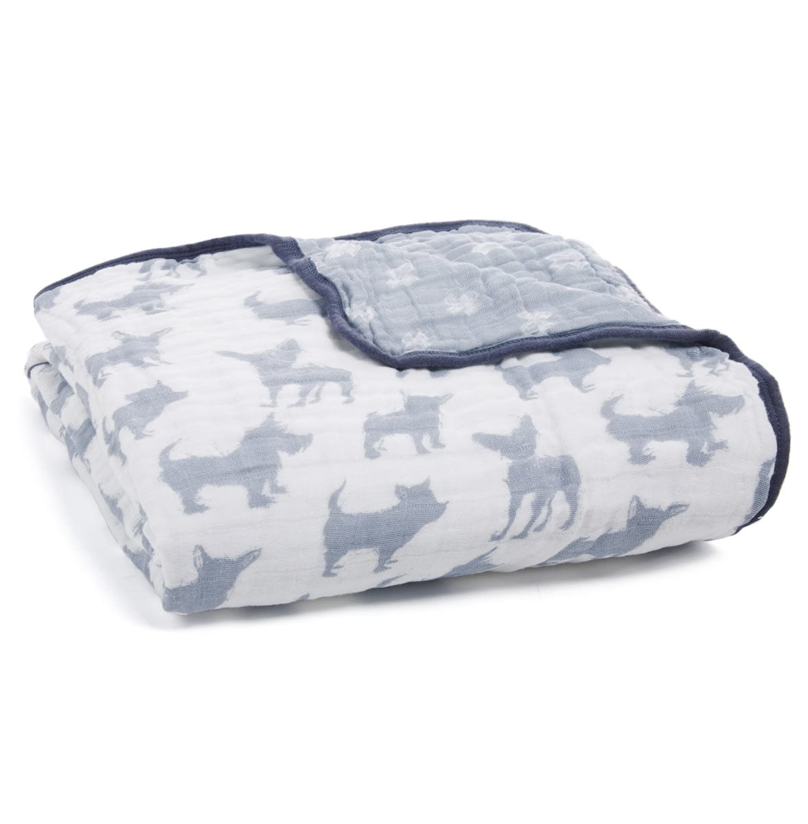 Aden + Anais Classic Dream Blanket - Waverly - 6142-AA