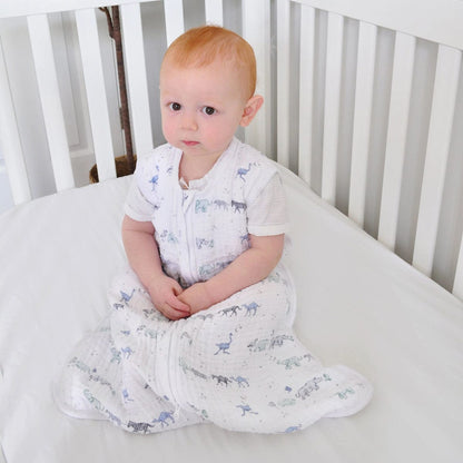Aden + Anais Classic Sleeping Bag - Rising Star Follow The Stars (0-6 months) - ASGC10021