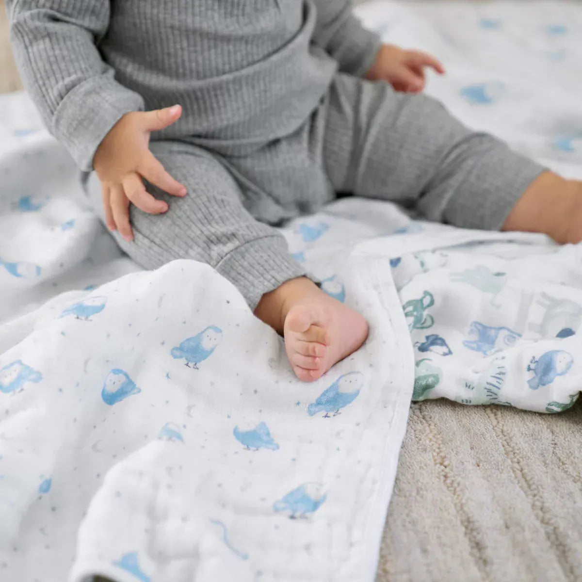Aden + Anais Essentials Cotton Muslin Swaddle Blanket 2 pk - Time To Dream - ESWC20023