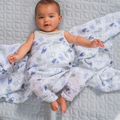 Aden + Anais Essentials Cotton Muslin Swaddle Blanket 2 pk - Time To Dream - ESWC20023