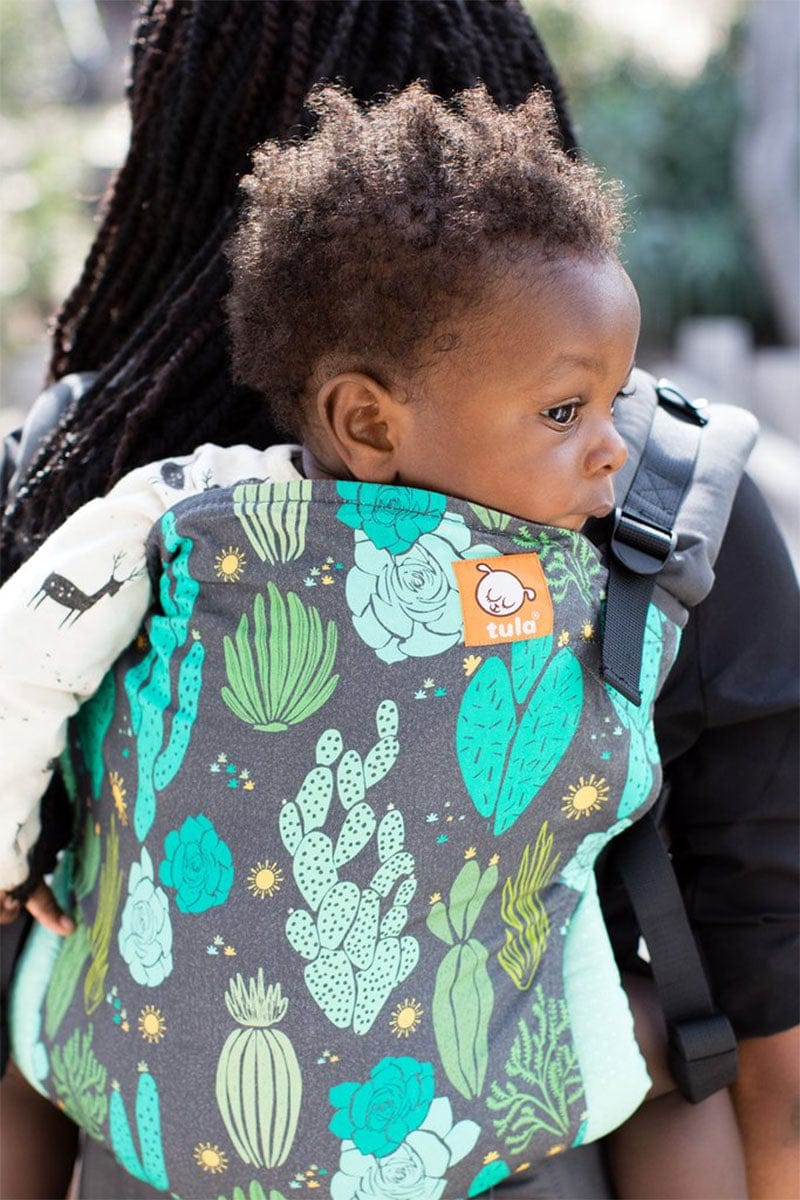 Tula Standard Canvas Baby Carrier - Cacti - TBCA8DGW17