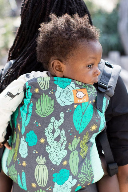 Tula Standard Canvas Baby Carrier - Cacti - TBCA8DGW17