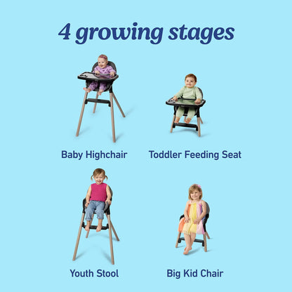 Graco Ready2Dine DLX 4-in-1 High Chair - Hazen