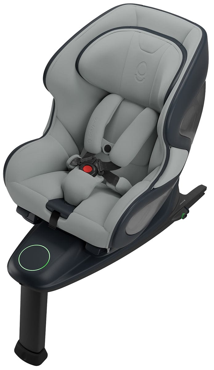 Babyark Convertible Car Seat - Premium - Charcoal Grey / Glacier Ice - G011010010-01-03