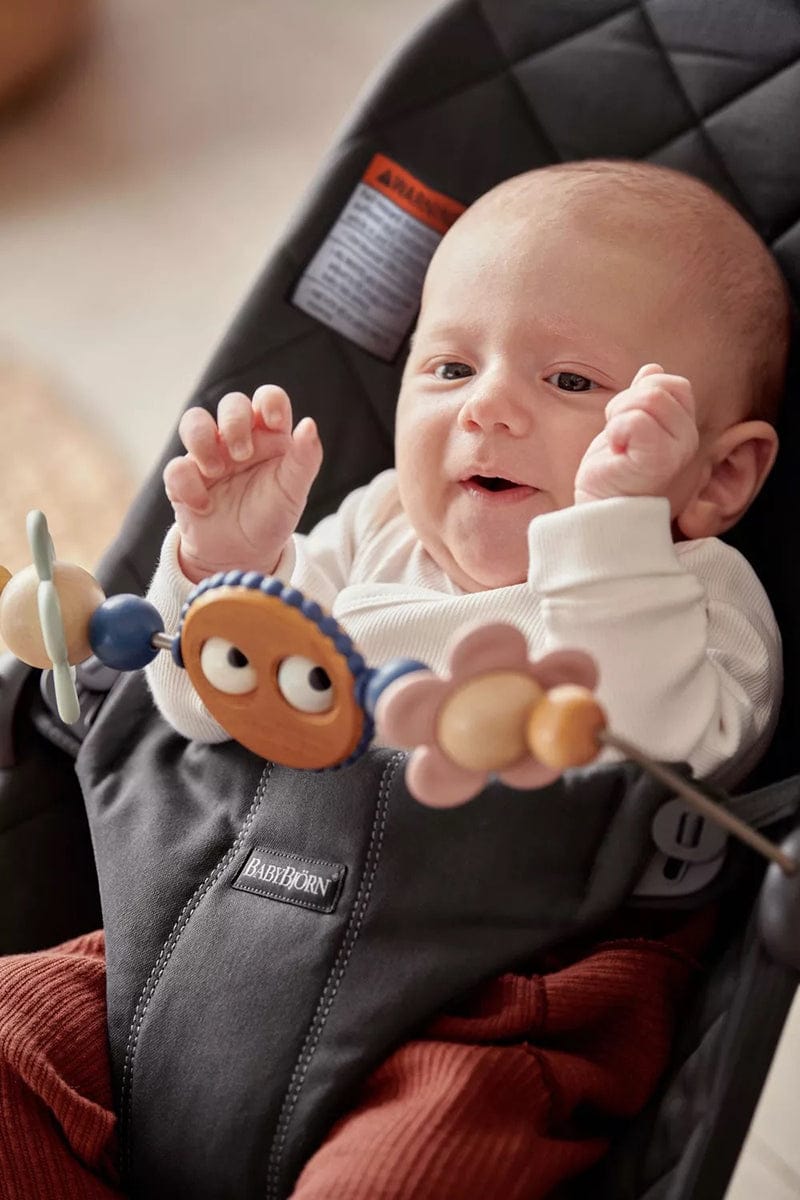 BabyBjörn Toy for Bouncer - Googly Eyes Pastels - 080510US