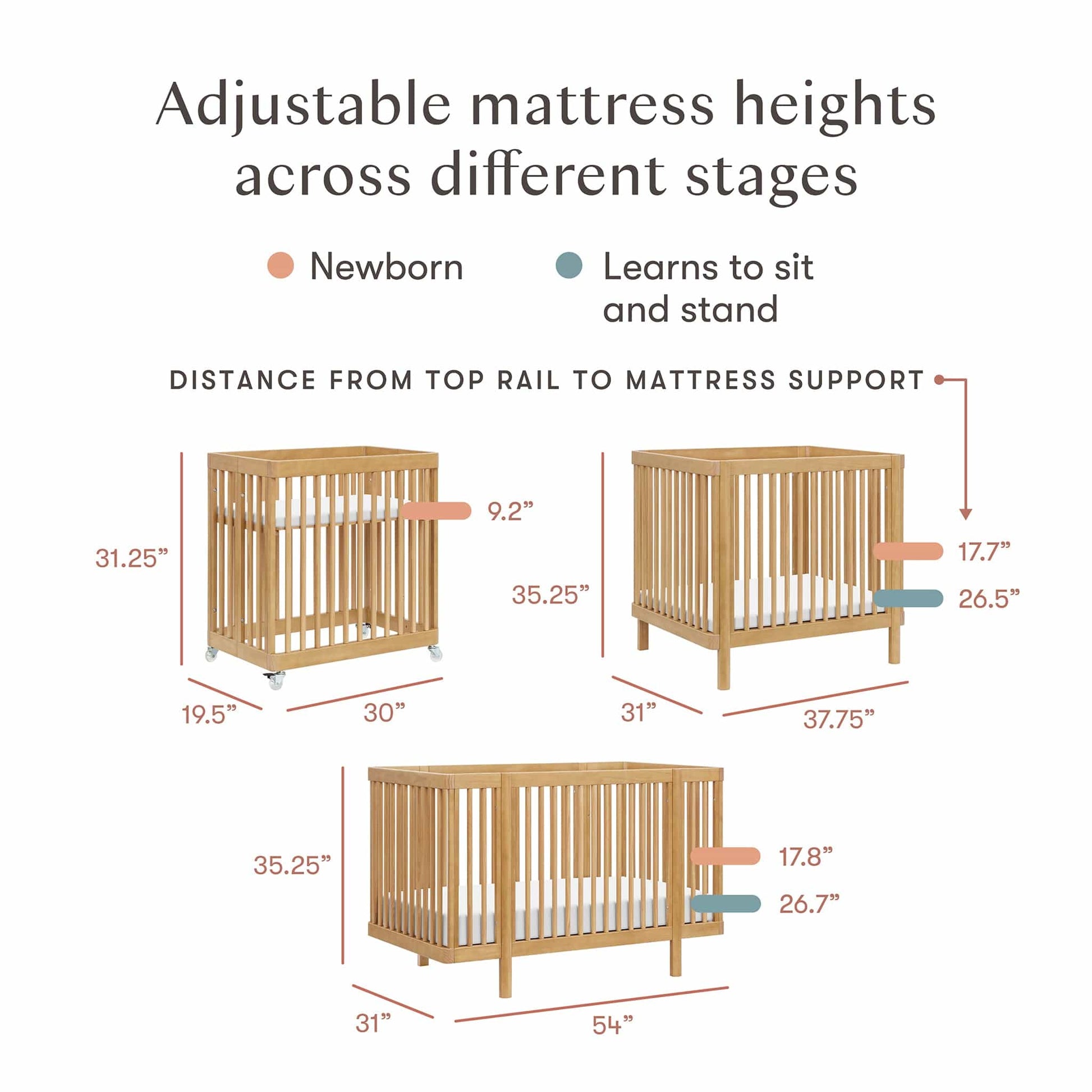 Babyletto Pogo 8-in-1 Convertible Crib w/All-Stages Conversion Kits  - Honey - M29880HY