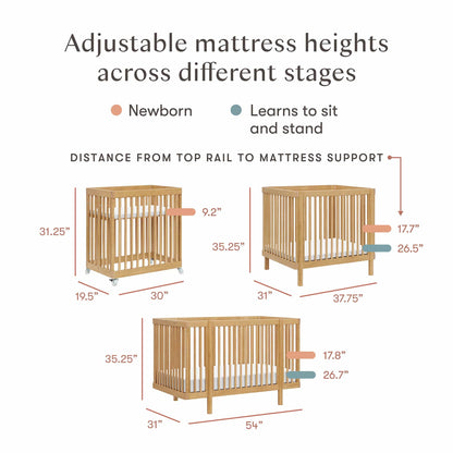 Babyletto Pogo 8-in-1 Convertible Crib w/All-Stages Conversion Kits  - Honey - M29880HY