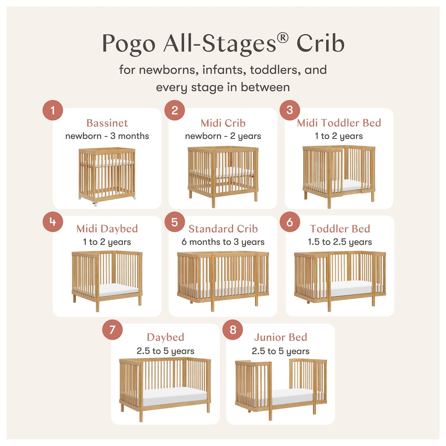 Babyletto Pogo 8-in-1 Convertible Crib w/All-Stages Conversion Kits  - Honey - M29880HY