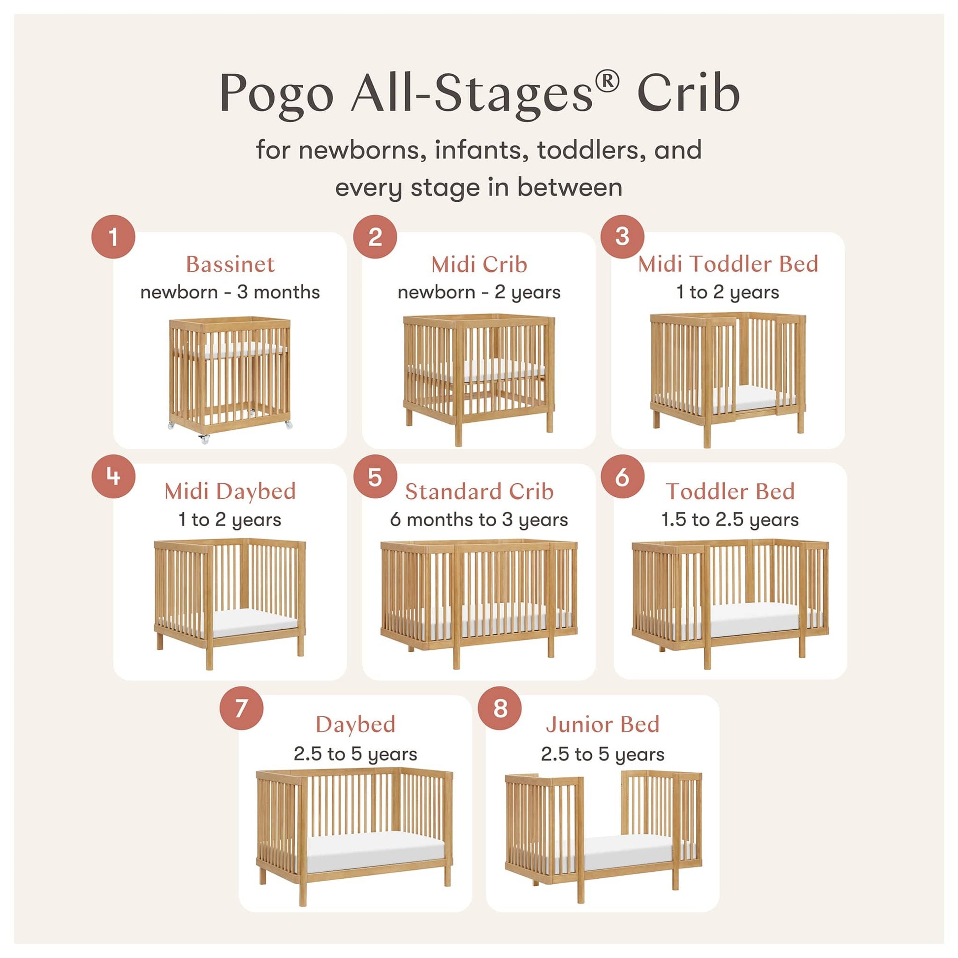 Babyletto Pogo 8-in-1 Convertible Crib w/All-Stages Conversion Kits  - Honey - M29880HY