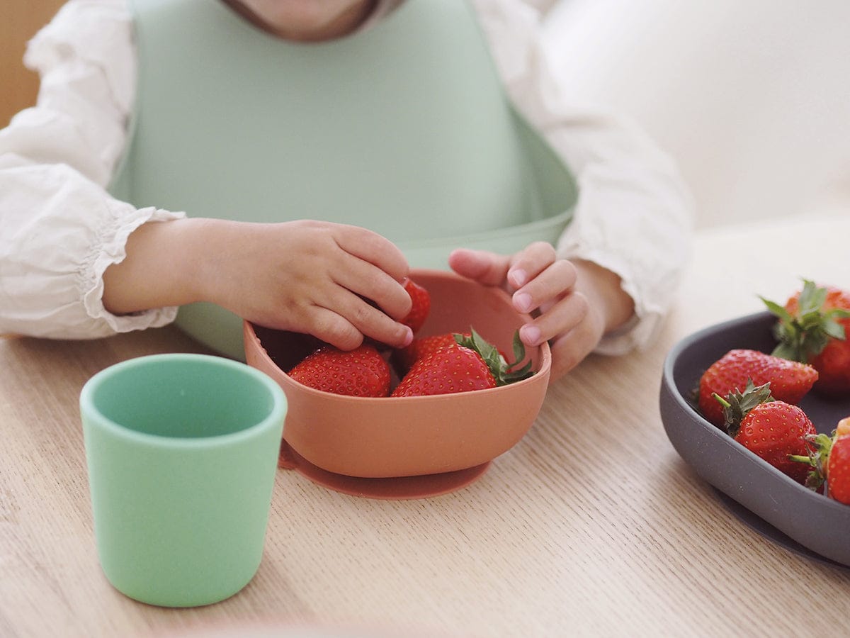 BEABA 4-Piece Silicone Dinner Set - Mineral - 913543