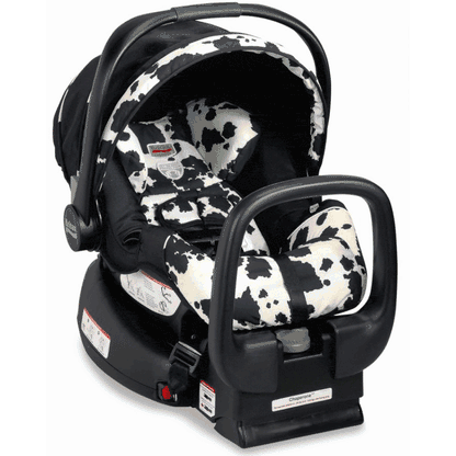 Britax Chaperone Infant Car Seat 2009 Cowmooflage - E9L69P5