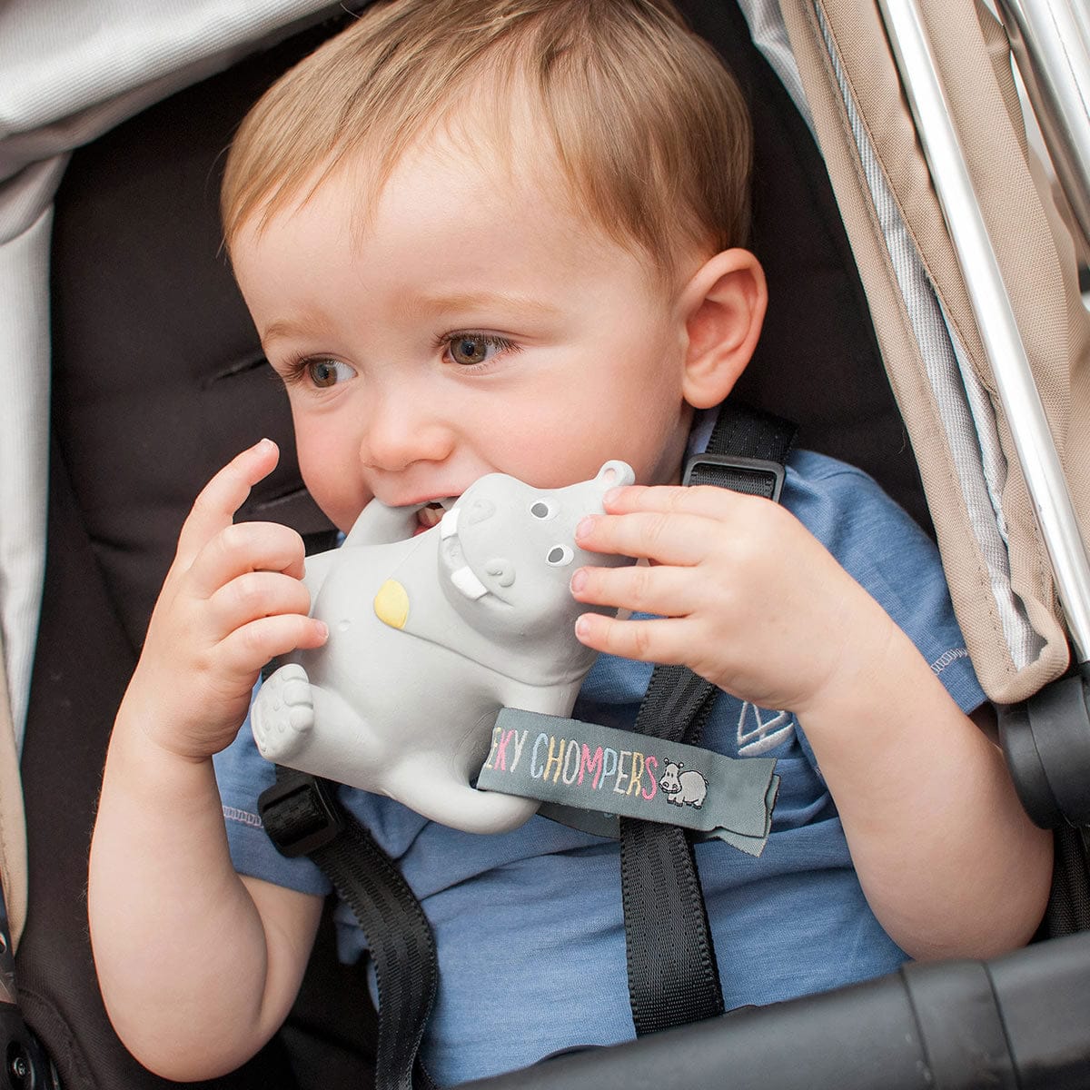 Cheeky Chompers Chewy the Hippo Teether - 2754-CHEWY