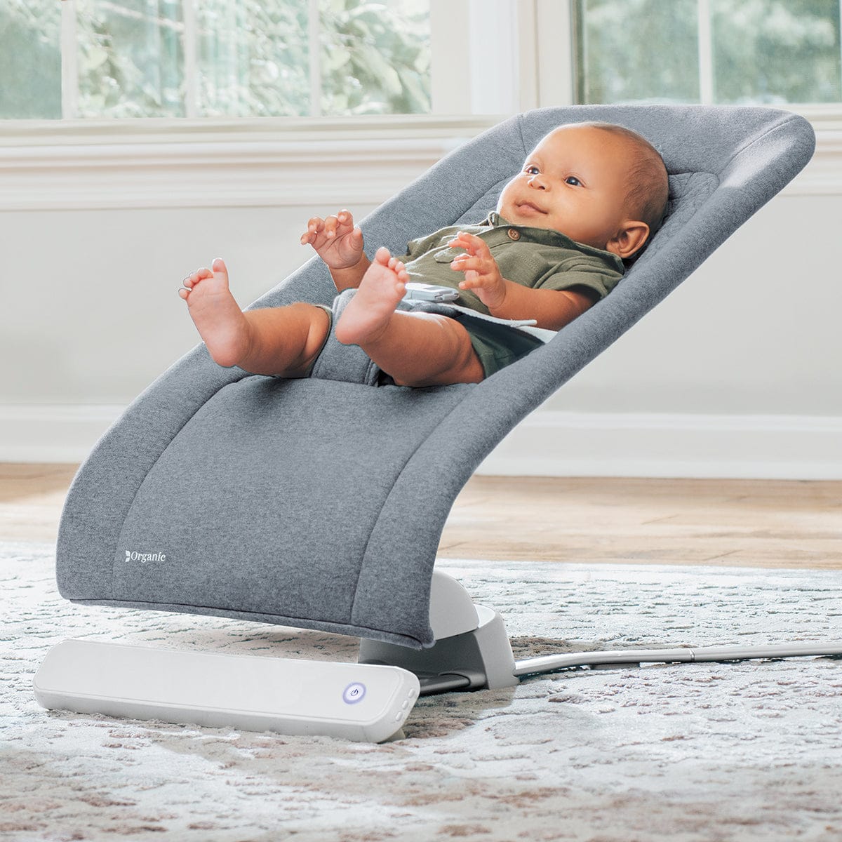 Chicco E-Motion Auto-Glider & Bouncer - Grey - 00087004190070