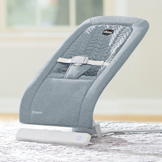 Chicco E-Motion Auto-Glider & Bouncer - Grey - 00087004190070