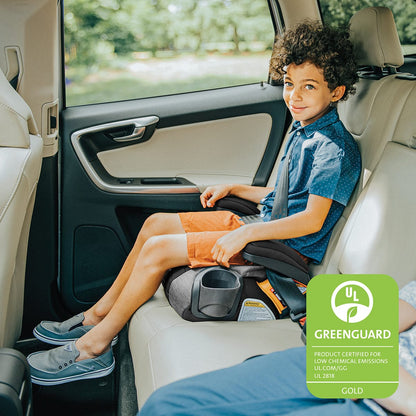 Chicco GoFit ClearTex Backless Booster Car Seat - Shadow - 07087092270070