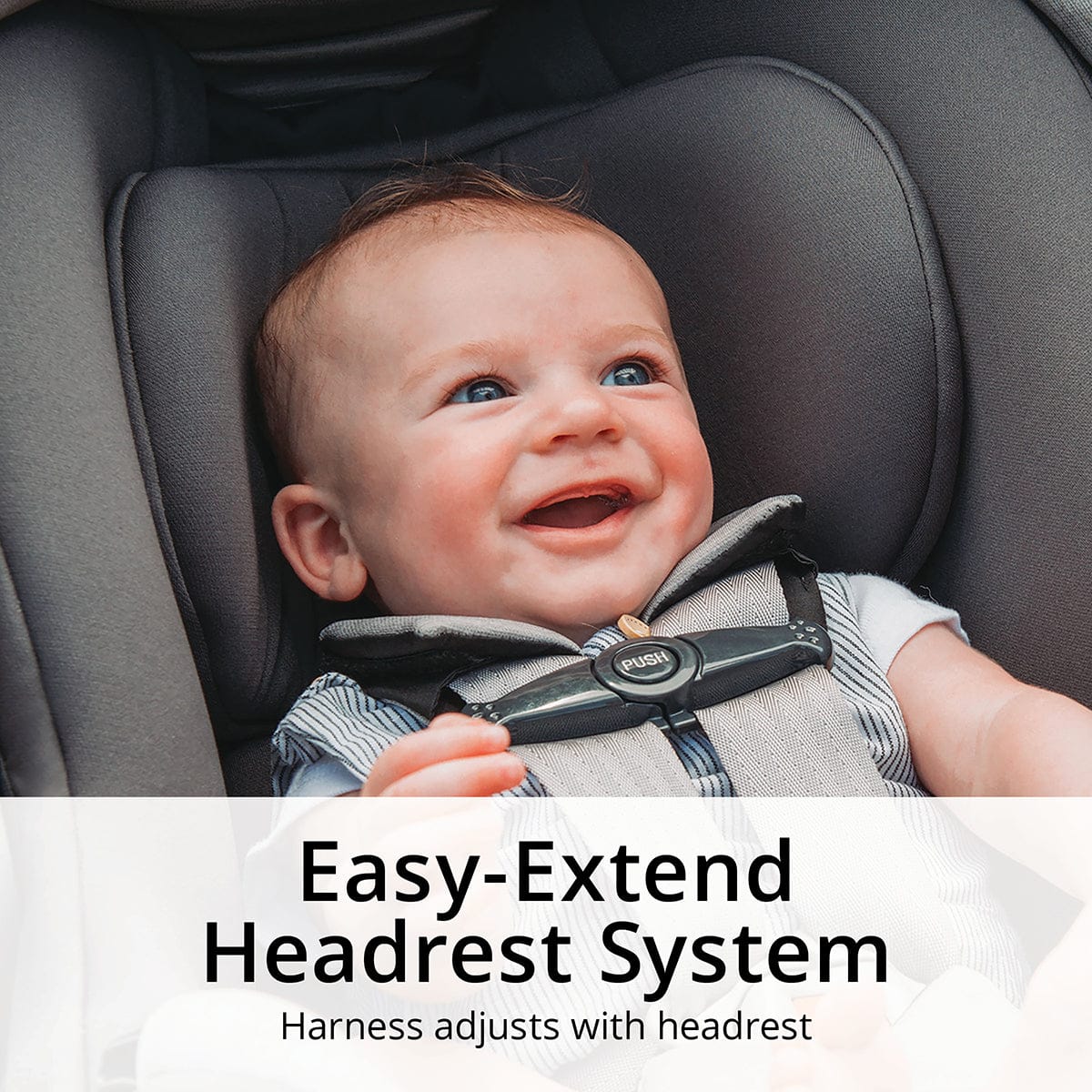 Chicco KeyFit 35 ClearTex Infant Car Seat with Anti-Rebound Bar - Legend - 08079737180070