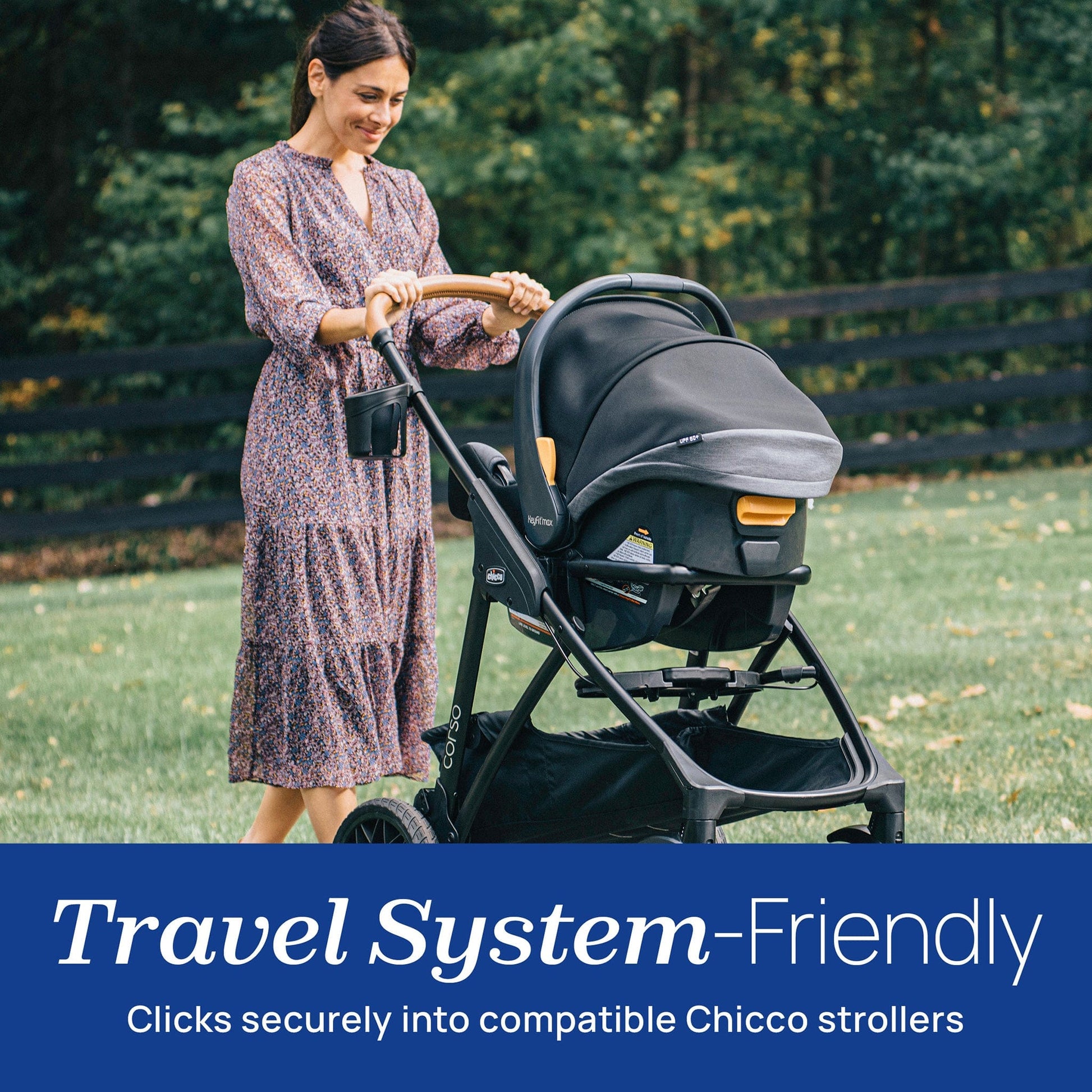 Chicco KeyFit Max ClearTex Infant Car Seat - Lupine - 07087111350070